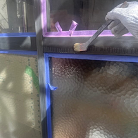 画像1288