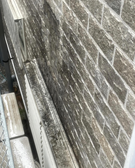 画像1300