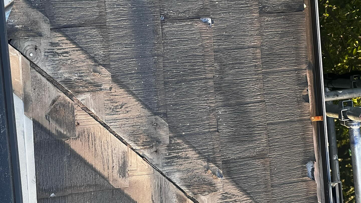 画像1641