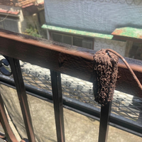 画像2227