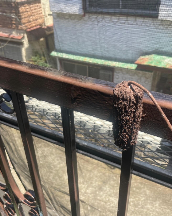 画像2227
