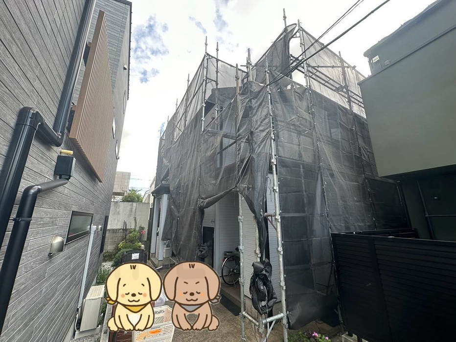 画像2421