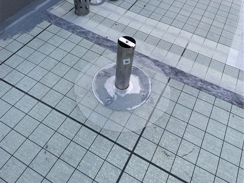 画像2487