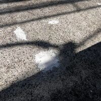 画像253