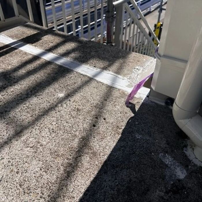 画像254