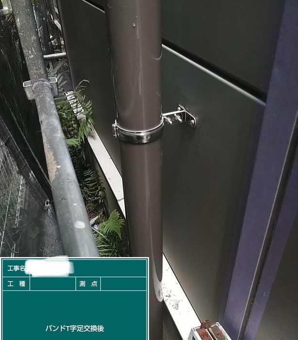 画像2547
