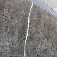 画像255