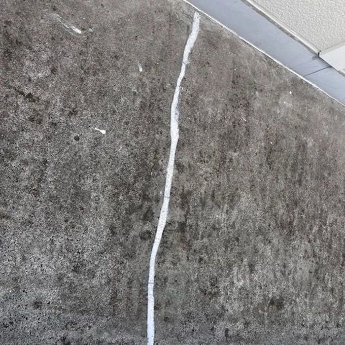画像255