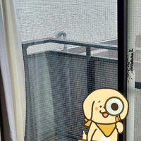 画像2685