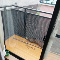画像2688