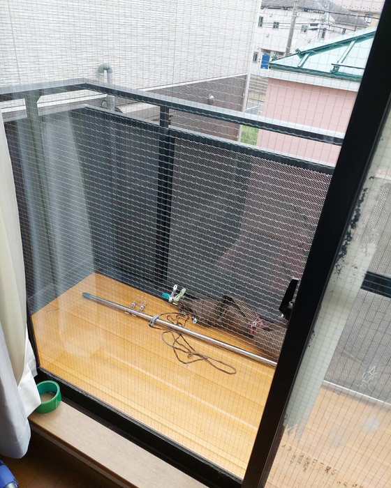 画像2688