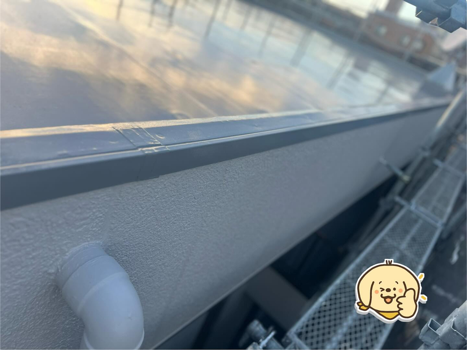 画像2738