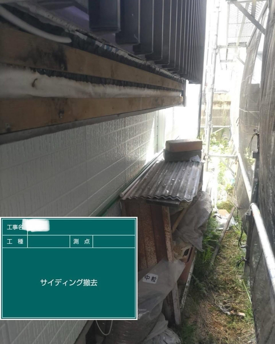 画像2777