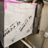 画像2853