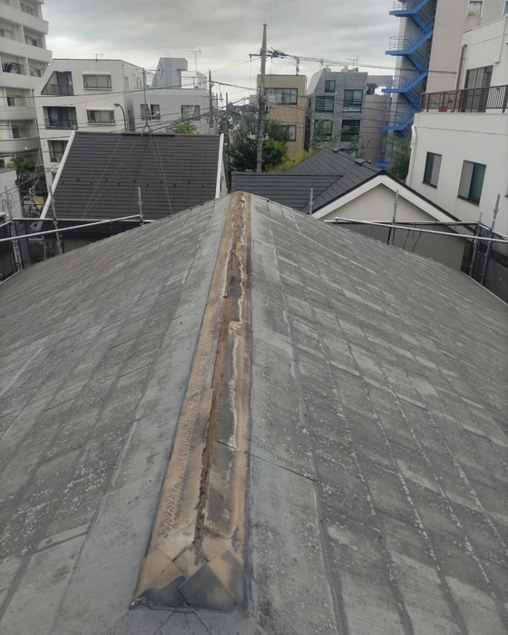 画像2882