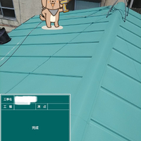 画像3053