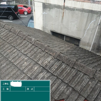 画像3054