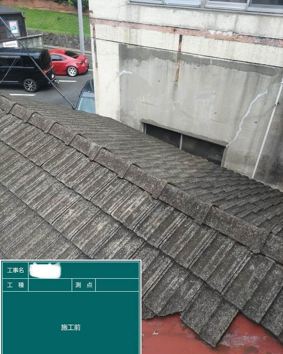 画像3054