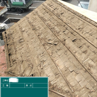 画像3055