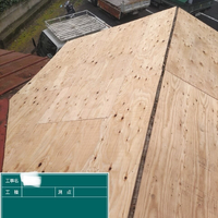 画像3056