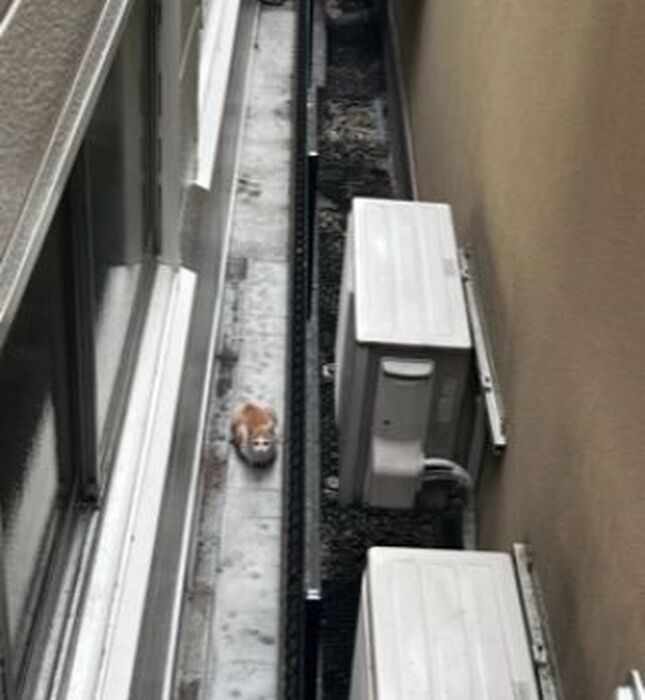 画像352