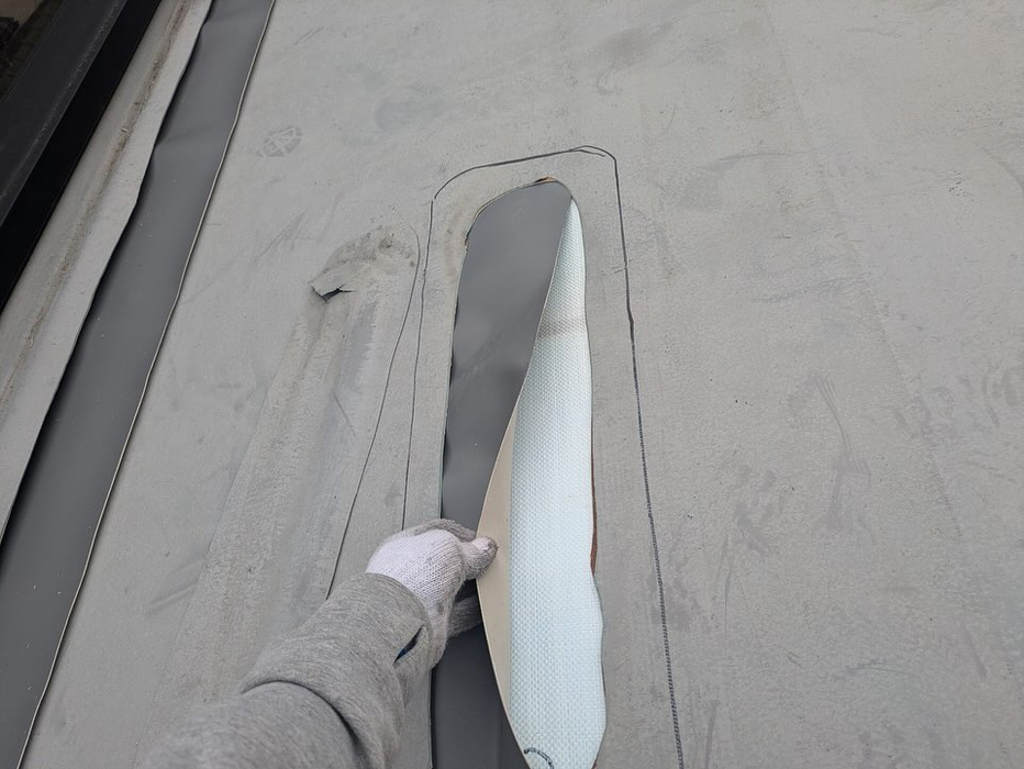 画像3524