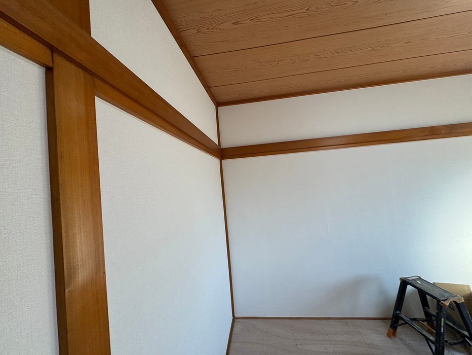 画像3551