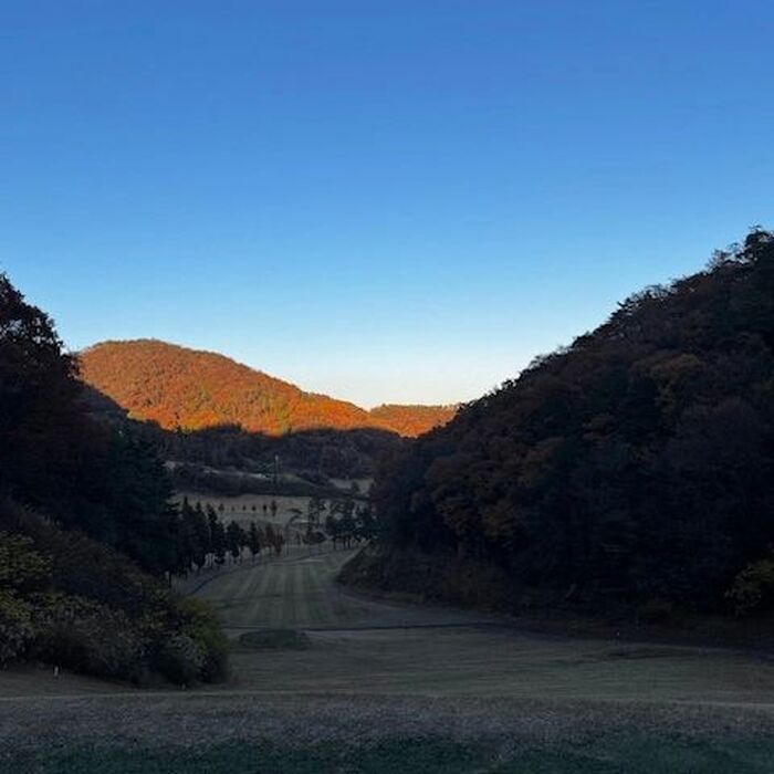 画像454