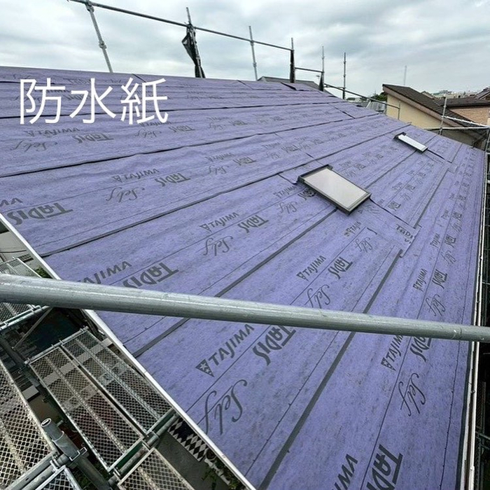 画像4644