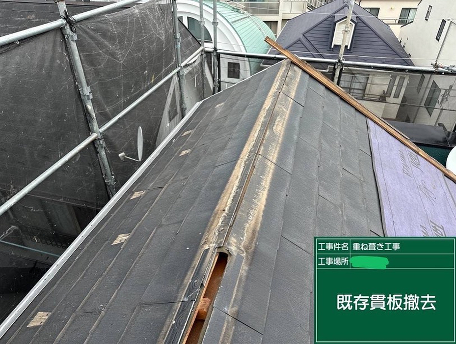 画像4727