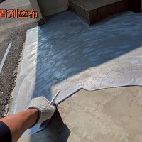 画像4784