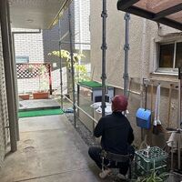 画像484