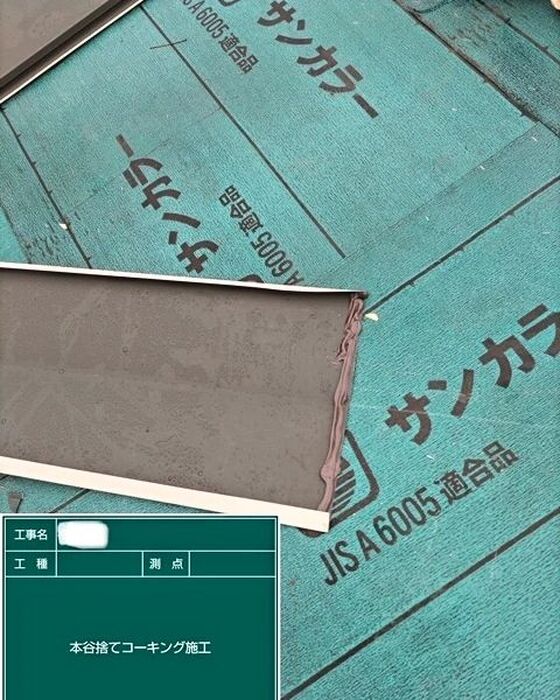 画像513