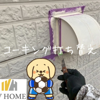 画像5369