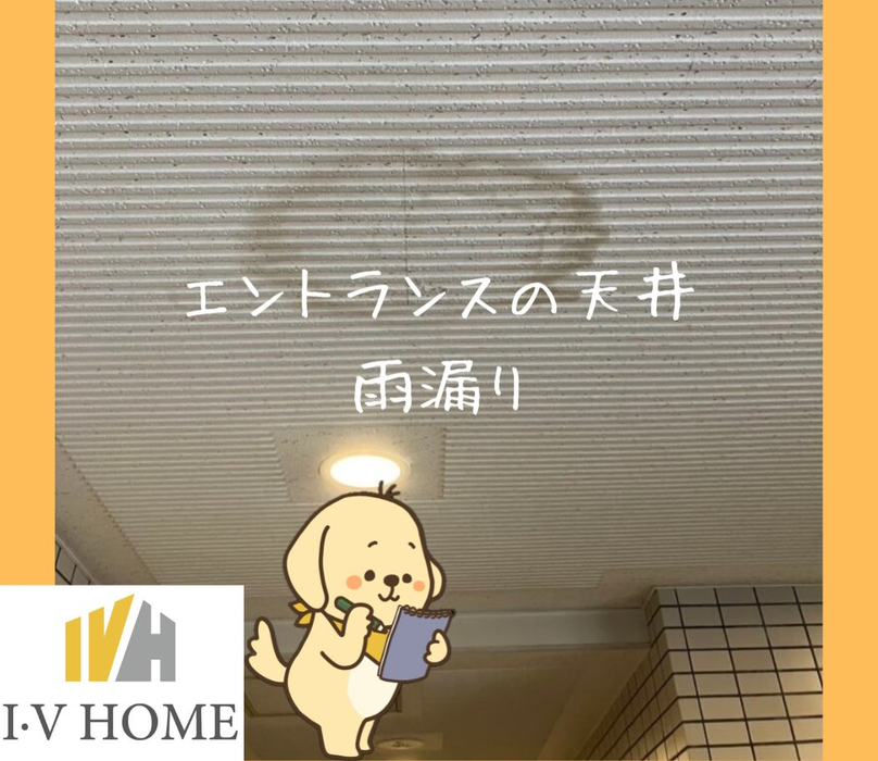 画像5420