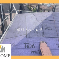 画像5547