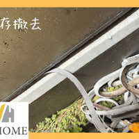 画像5592