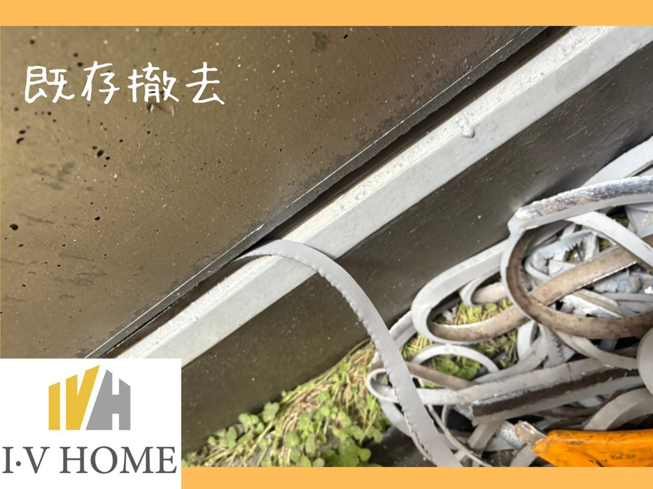 画像5592