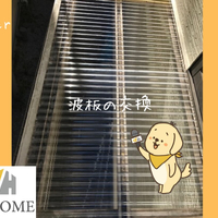 画像5683
