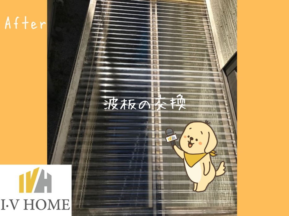 画像5683