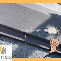 画像5917
