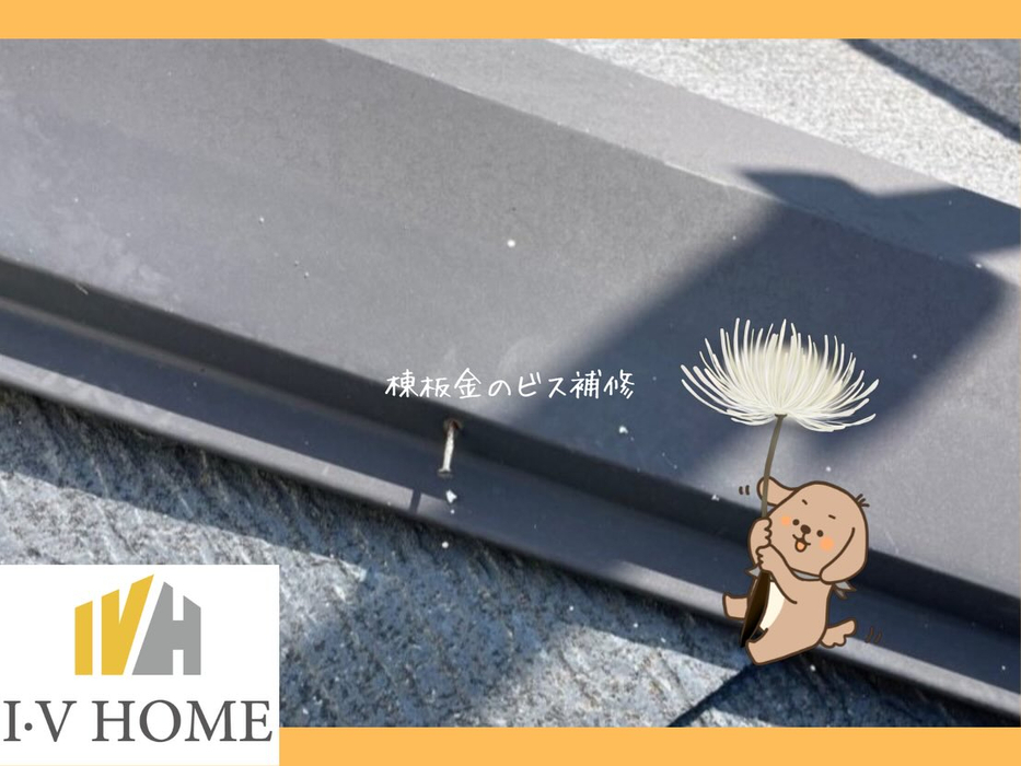 画像5917