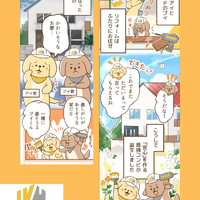 画像5921