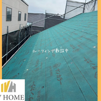 画像5926