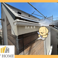 画像6251