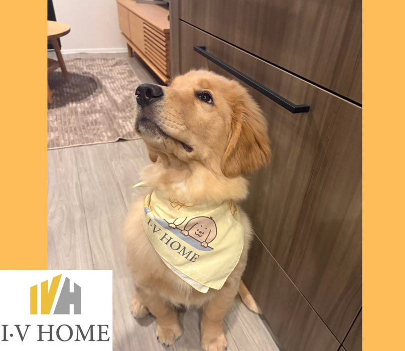 画像6412