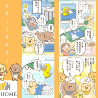 画像6431