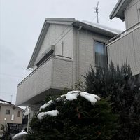 画像887